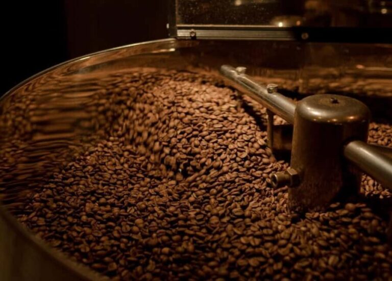 The Historic Cafés of Turin: a journey back in time - Who Should Consider This Tour?