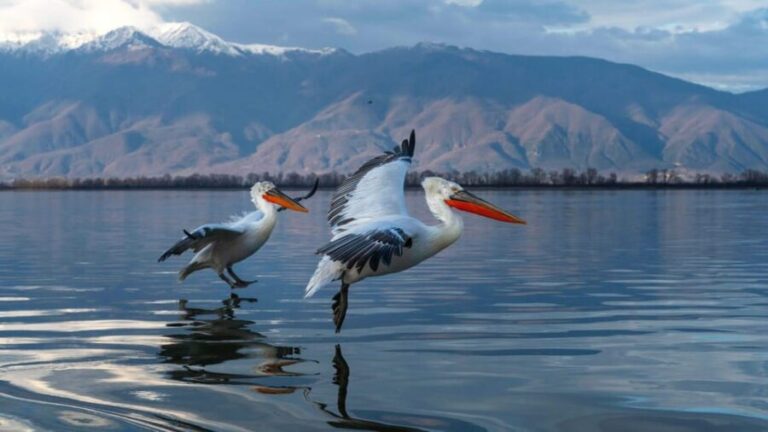 The Island of the Snakes - Golem Grad - What Makes This Tour Stand Out