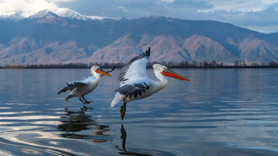 The Island of the Snakes - Golem Grad - What Makes This Tour Stand Out