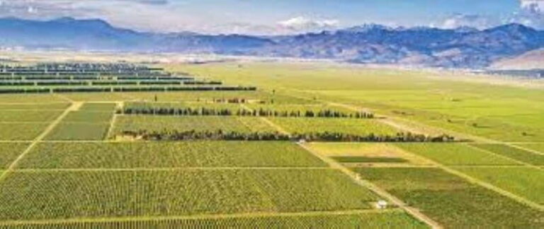 The largest winery in Montenegro: private tour & transport - What Makes This Tour Stand Out?