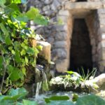 The Limestone Heritage Park and Gardens (Entry Ticket) - An In-Depth Look at What to Expect