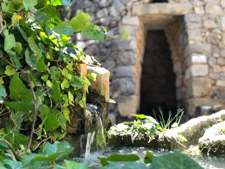 The Limestone Heritage Park and Gardens (Entry Ticket) - An In-Depth Look at What to Expect