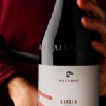 The Madama: Wine tasting in La Morra - The Sum Up