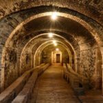 The Memories of the Count - AGED AND SUPERTUSCAN WINE TASTING - A Closer Look at the Experience