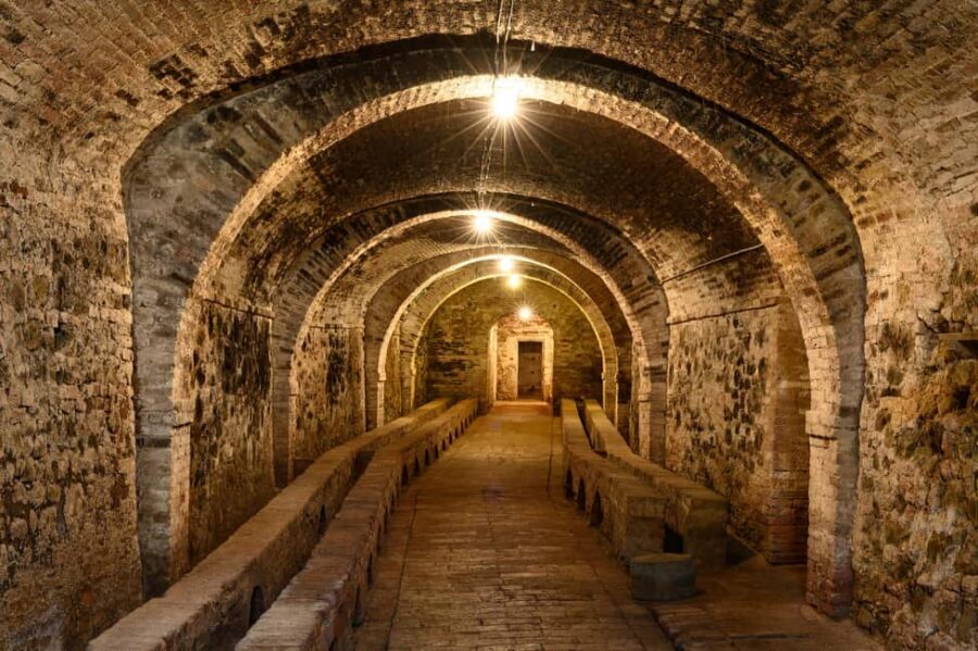 The Memories of the Count - AGED AND SUPERTUSCAN WINE TASTING - A Closer Look at the Experience