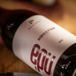 The MONSU: Winetasting in La Morra. - The Itinerary: What to Expect