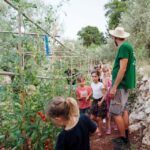 The Olive Oil Experience @ Lefkada Micro Farm - Who Will Love This Tour?