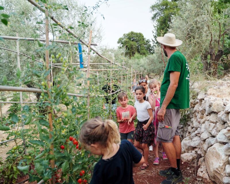 The Olive Oil Experience @ Lefkada Micro Farm - Who Will Love This Tour?