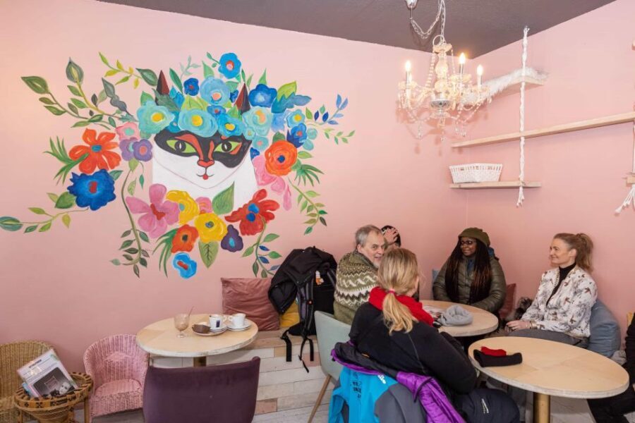 The Private Reykjavik CatWalk - What’s Included & What’s Not