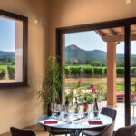 The Selections: visit and tasting in the Bolgheri Doc region - Practical Details and What You Need to Know