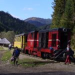 The trains of Romania in 9 days - Day Two: Bumbeti-Livezeni and Sibiu Locomotive Collection