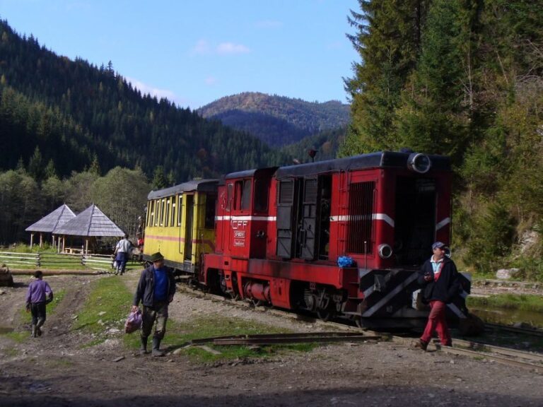 The trains of Romania in 9 days - Day Two: Bumbeti-Livezeni and Sibiu Locomotive Collection