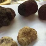 The Truffle Experience in Rome - The Wines and Beverages