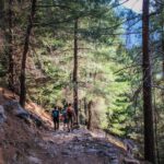 The Unique Tour of Samaria Gorge - Is This Tour Worth the Cost? Analyzing the Value