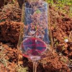 The Vineyard Watchers - Final Thoughts