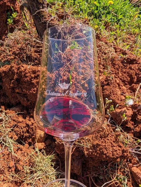 The Vineyard Watchers - Final Thoughts