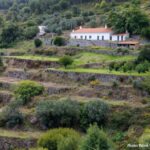 The western wild Algarve with a luxury picnic and extra Wow - Who Is This Tour Best For?