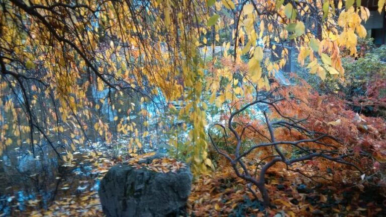 The Wonders of Vienna in a full day - private car tour - What to Expect from the Itinerary