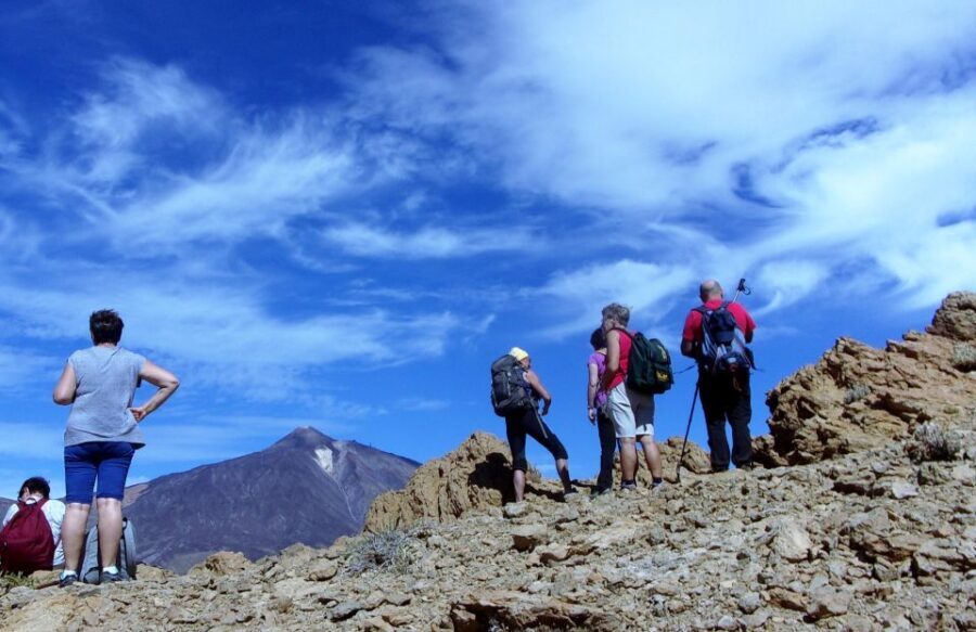 The Wow Factor Walk - The True Value of the Wow Factor Walk