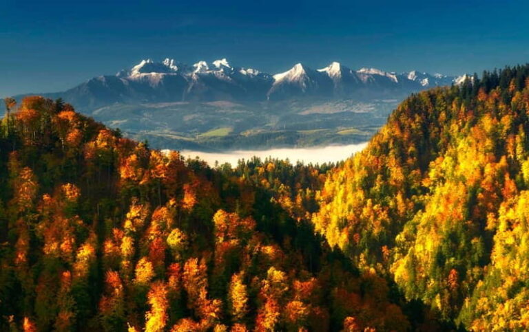 Thermal Baths and Zakopane Day Trip with Cable Car - The Practical Side: What to Expect and How to Prepare