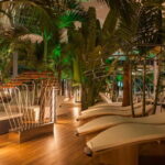 Therme:Spa Day at the biggest oasis of RelaxationBucharest - Seamless Transportation and VIP Access