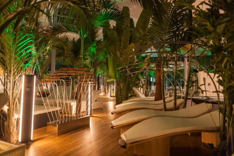 Therme:Spa Day at the biggest oasis of RelaxationBucharest - Seamless Transportation and VIP Access