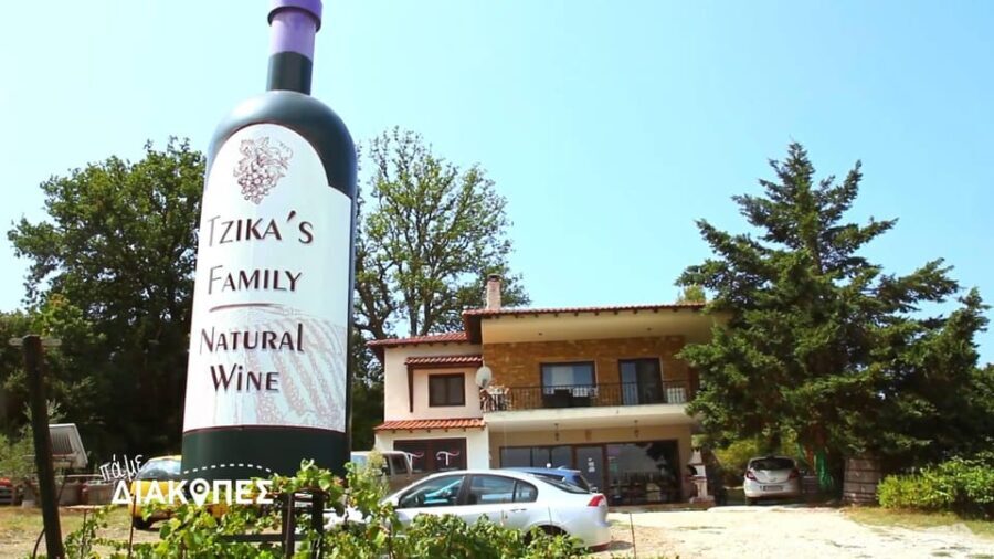 Thessaloniki Day Trip to Petralona Cave,Afytos& Wine Tasting - Afytos Village: Relaxation, Lunch, and Swimming