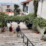 Thessaloniki Old Town Walking Tour-Culture-Nature-Plants - Unpacking the Thessaloniki Old Town Walking Tour