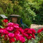 Through Heart of Crete to South & Wine Tasting Private tour - The Value of This Tour