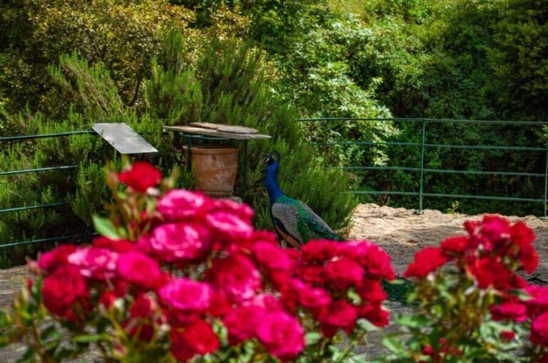 Through Heart of Crete to South & Wine Tasting Private tour - The Value of This Tour