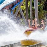 Ticket pack for Zaragoza Amusement Park and Aquarium - Unlimited Fun at Zaragoza Amusement Park