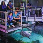 Timmendorfer Strand: SEA LIFE Behind the Scenes Tour - Who Should Consider This Tour?