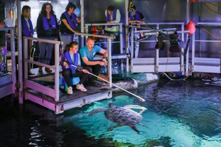 Timmendorfer Strand: SEA LIFE Behind the Scenes Tour - Who Should Consider This Tour?