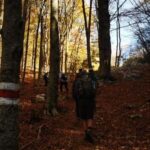 Tirana: Dajti National Park and Tujani Peak Hiking Tour - The Bottom Line: Who Is This Tour Best For?