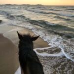 Tirana/Durrës: Fllakë Beach Escape and Optional Horse Ride - Practical Details and Value