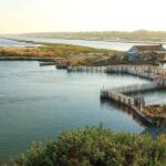 Tirana/Durres/Golem: Karavasta Lagoon Day Tour with Boat - What Makes This Tour Stand Out?