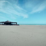 Tirana to Bylis & Apollonia: Private day trip - Analyzing the Value