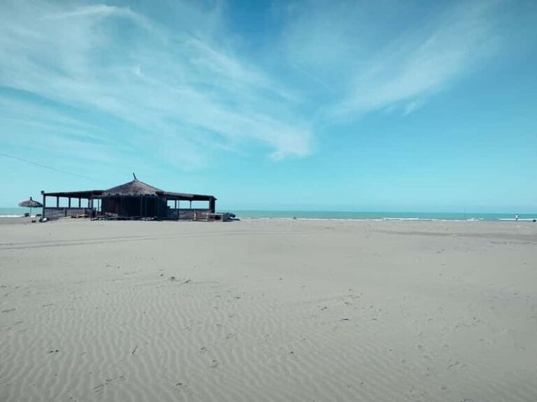 Tirana to Bylis & Apollonia: Private day trip - Analyzing the Value