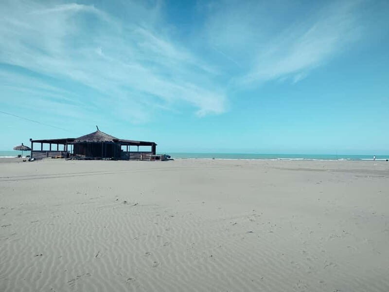 Tirana to Bylis & Apollonia: Private day trip - Analyzing the Value