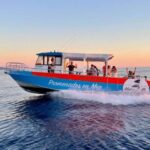 Tiuccia : Near Ajaccio, Piana-Scandola Boat Trip with Stops - Practical Details and What to Expect