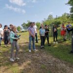 Tkibuli Day Trip with Wine & Tea Tasting from Kutaisi - The Experience You’ll Take Home