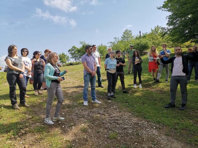 Tkibuli Day Trip with Wine & Tea Tasting from Kutaisi - The Experience You’ll Take Home