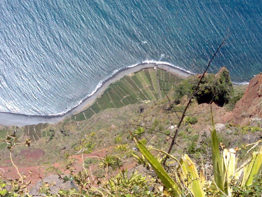 Toboggan Ride & Madeira Wine Tasting Tour - The Value of This Tour