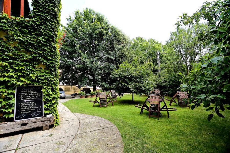 Tokaj: Classic Wine Tasting - Who Will Love This Tour?