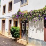 Tomar and Almourol: A Day of Templar Heritage (From Lisbon) - Practical Details and Value