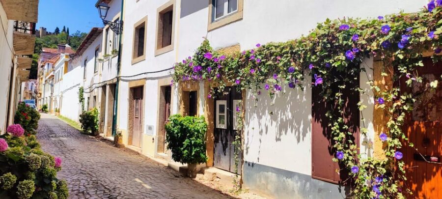 Tomar and Almourol: A Day of Templar Heritage (From Lisbon) - Practical Details and Value