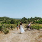 Tomar: Lunch among the vineyards - The Sum Up