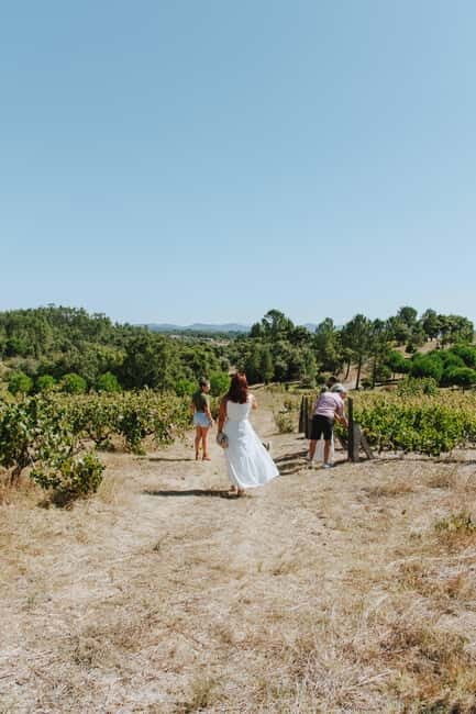 Tomar: Lunch among the vineyards - The Sum Up