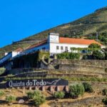 Top Douro from Porto: walk + visit + wine tasting + picnic - Final Thoughts