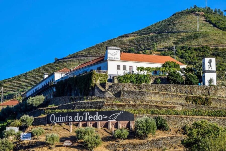 Top Douro from Porto: walk + visit + wine tasting + picnic - Final Thoughts